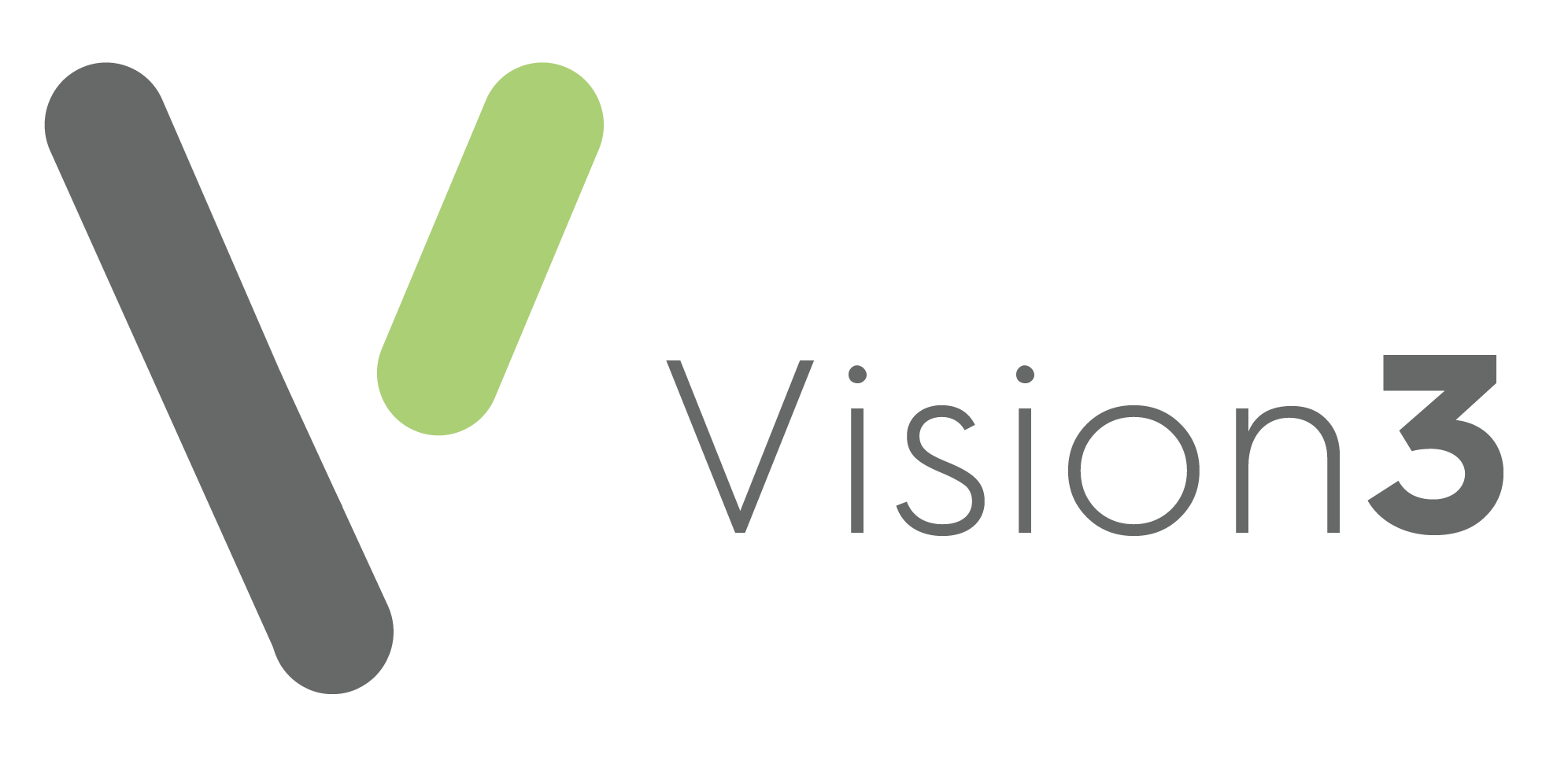 CHS_-Vision 3 logo-1