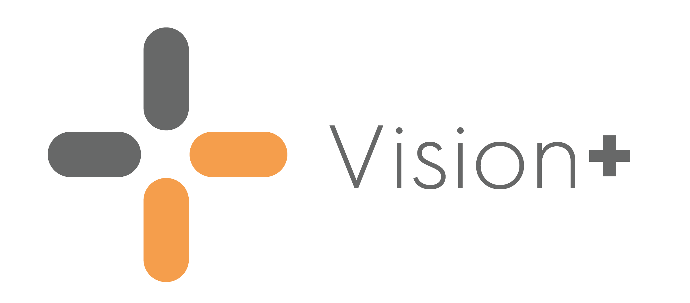 CHS_Vision Plus logo-1